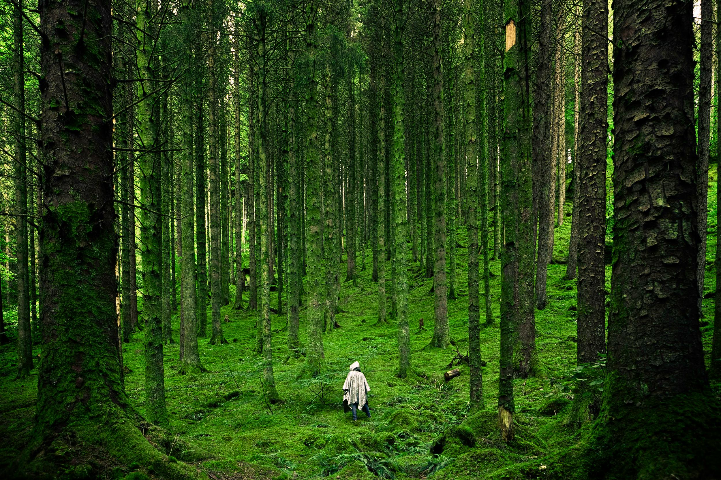 Woman in the woods | Source: Pexels