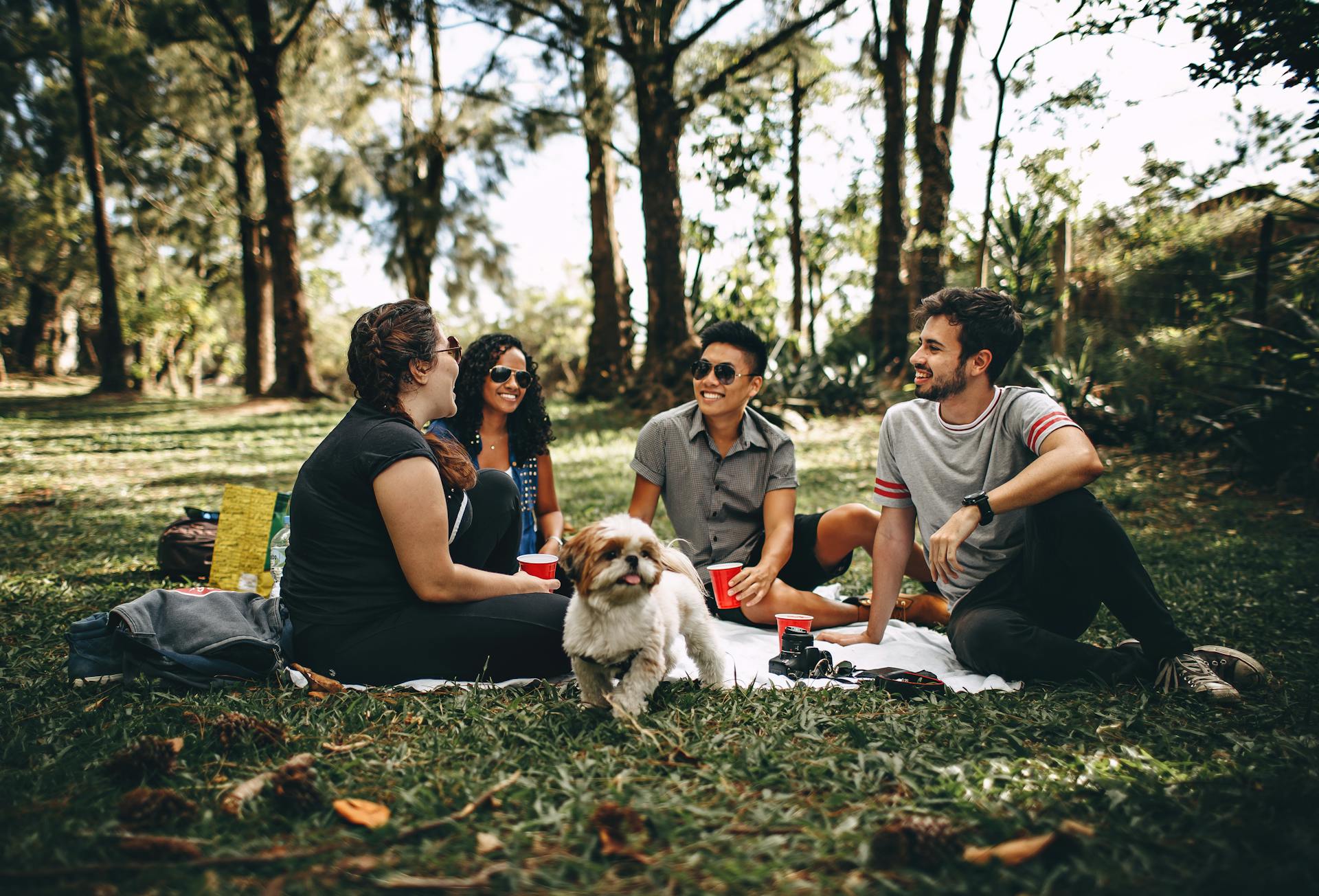 A group of friends and a dog at a park | Source: Pexels