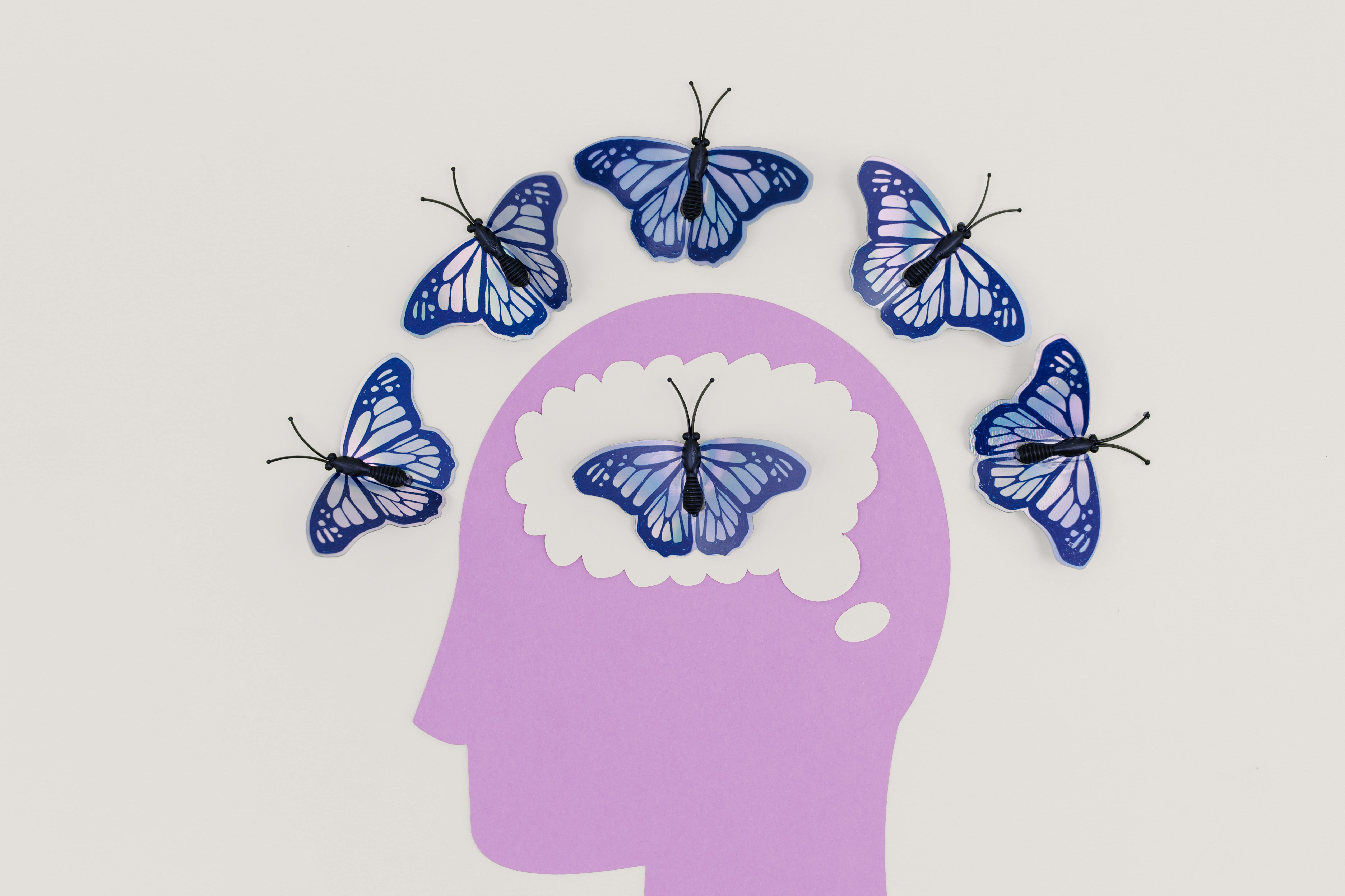 Inside the head is a white brain-shaped area | Source: Pexels